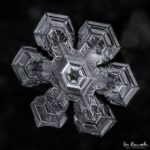 Snowflake by Don Komarechka Snowflake by Don Komarechka