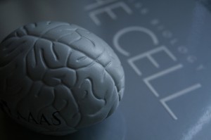 954701212_8f4451f1d4 954701212_8f4451f1d4
