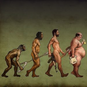evolution_square_copy