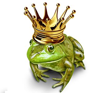 froggy froggy